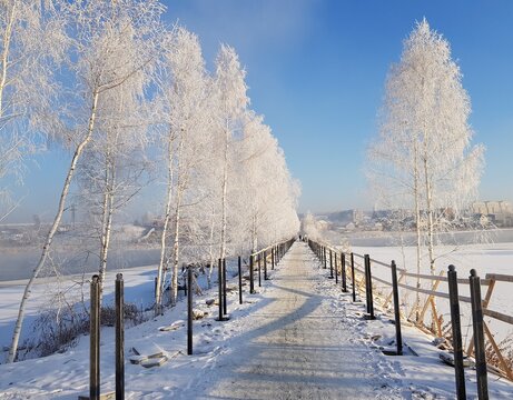 Beautiful winter landscape with frost-covered trees on the river bank