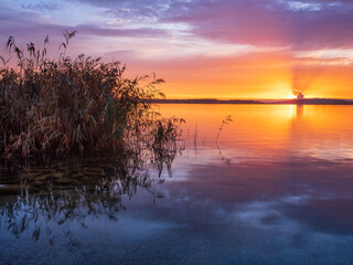 Calm Lake with Reeds at Sunrise