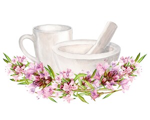 Obraz na płótnie Canvas White mortar for chopping herbs and thyme flowers, ceramic mug. Watercolor illustration. Preparation of herbal tea, tonic. The concept of herbal medicine, laboratory or label design.