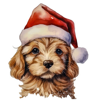 Fototapeta Szczeniaczek, terier namalowany farbami akwarelowymi w czapce Mikołaja. Przezroczyste tło.