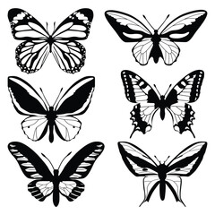 Obraz premium monochrome Butterfly Silhouettes Vector