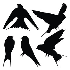 Bird Swallow Silhouettes Vector illustration