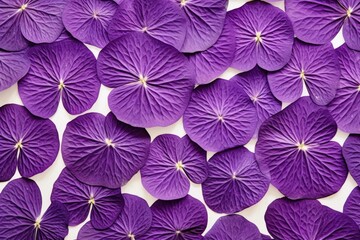 super close-up of a violets petal pattern