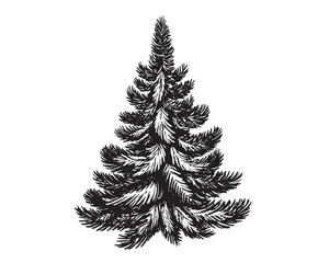 Christmas tree hand drawn illustrations