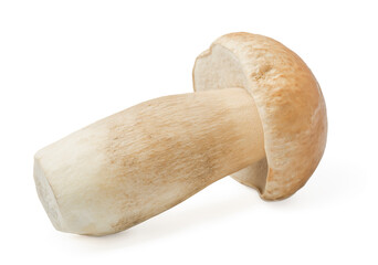 Fresh porcini cep mushroom isolated on white background.  - 679188996