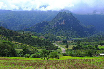 Scenic forest view, Tham Sakaen, border area of ​​Nan Province. with Phayao Province, Thailand