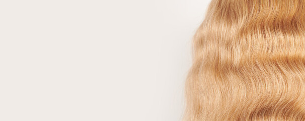 Natural looking shiny hair, fair blonde curls isolated on white background with copy space