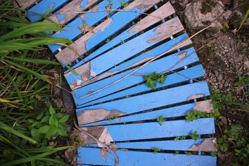 Naklejka premium A wooden trail painted bright blue.