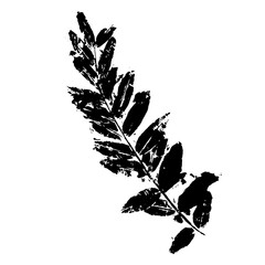 Stencil,leaf print.Decorative botanical elements.Vector graphics.