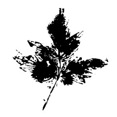 Stencil,leaf print.Decorative botanical elements.Vector graphics.