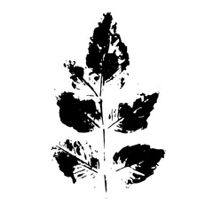 Stencil,leaf print.Decorative botanical elements.Vector graphics.