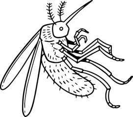 Fototapeta premium mosquito illustration.