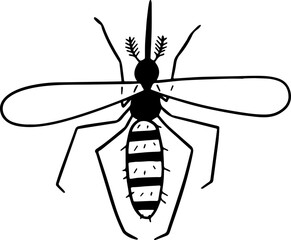 mosquito illustration.