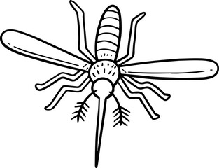 mosquito illustration.