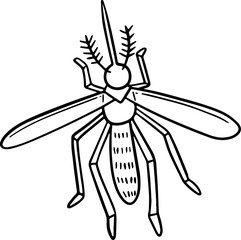 mosquito illustration.