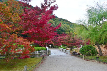 香川　香川県　秋　四国　栗林公園
