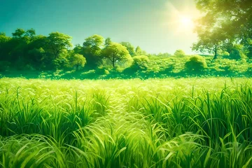 Wandaufkleber green field and blue sky © Captured Moments.Co