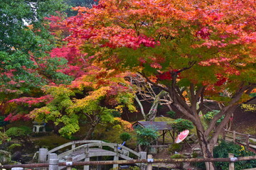 紅葉　もみじ　モミジ　秋　尾関山公園　広島
