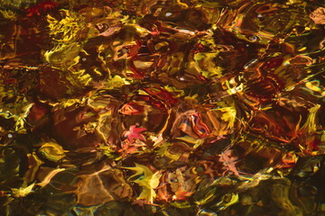 岡山　岡山県　秋　神庭の滝