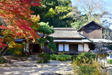 秋　紅葉　岡山　近水園