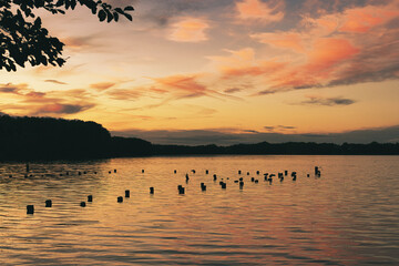Sunset over the Lake - Landscape - Beautiful  - Sunrise over Sea - Colorful - Reed - Clouds - Sky -...