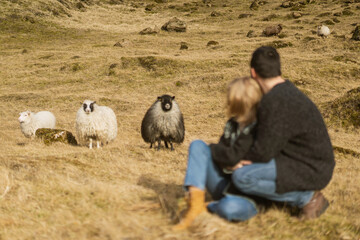 Couple in love against among a field of sheep