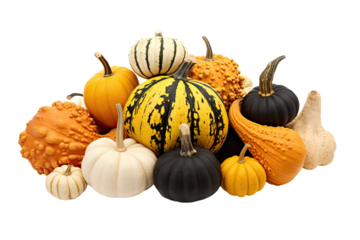 a collection of autumn gourds isolated on a transparent background, generative ai