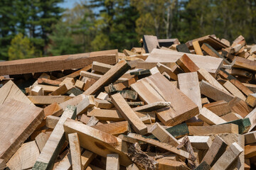 Scrap wood thrown out at a lumber yard warehouse.