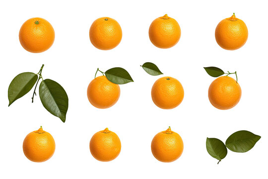 a collection of oranges isolated on a transparent background, generative ai