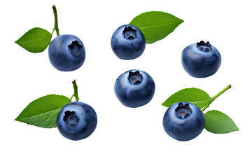 a collection of blueberries isolated on a transparent background, generative ai - obrazy, fototapety, plakaty