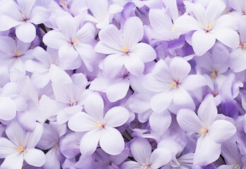 purple and white generating by AI technology