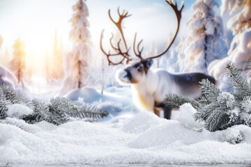 Mockup of snow and frost and winter ladnscape of forest . 