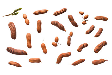 a collection of tamarind isolated on a transparent background, generative ai