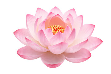 a lotus flower isolated on a transparent background, generative ai