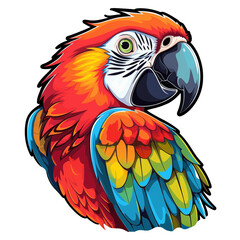 illustration of macaw