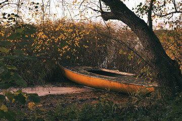 Canoe on the Lake - Rowboat - Rowing Boat - Sea - Pond - Autumn - Background - Reed - Leave - Abandon - Mood