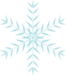 Fototapeta premium Snowflake Icon