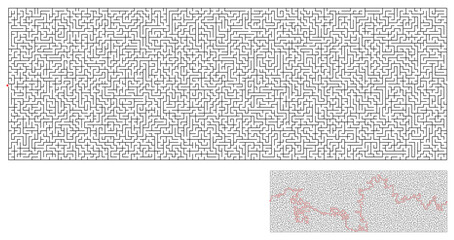 Large rectangular labyrinth. A challenging maze game with a solution.