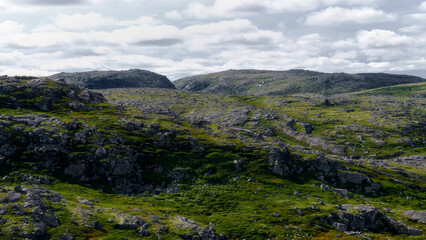 Fototapeta na wymiar Landscape of green polar rocky tundra. Northern nature of Teriberka