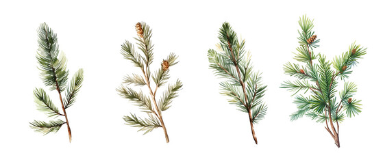 Set of fir and pine branches with snow on transparent background - 679230505