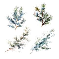 Set of fir and pine branches with snow on transparent background - 679230781