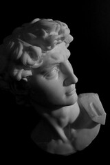 David Sculpture Michelangelo Renaissance Greek Marble