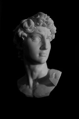 David Sculpture Michelangelo Renaissance Greek Marble