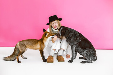 Young woman in black hair training her cute drathaar and red fox in studio on pink background. Lovely pet..Girl with blonde hair feed a dog breed german wirehaired pointer drathaar and fox