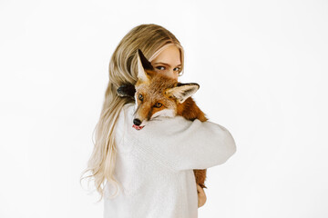 A girl in a white pullover holding a red fox in her hands. The blonde in studio. Pretty woman with fox on white background.