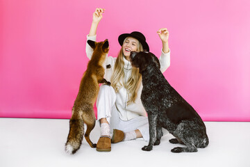 Young woman in black hair training her cute drathaar and red fox in studio on pink background. Lovely pet..Girl with blonde hair feed a dog breed german wirehaired pointer drathaar and fox