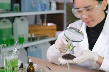 Scientist in biology laboratory using magnifying glass to examining, learning or analyzing focus at plant, botanical, herbal or flower to develop and exploration of medical and biochemistry discovery.