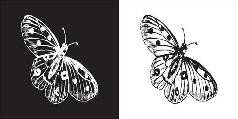 Illustration vector graphics of butterfly icon