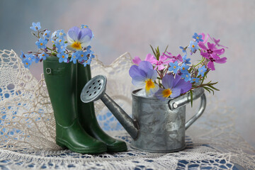 Still life with decoration of a watering can and rubber boots with forget-me-not flowers, pansies, violets, phloxes on the table, tablecloth, lace napkin, beautiful postcard, blur.