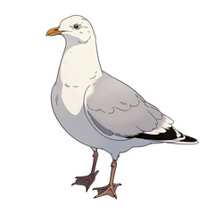Seagull cartoon comic drawing , black outline on white background
